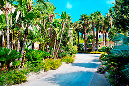 Hotel Parco delle Agavi