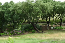 Quinta do Cano