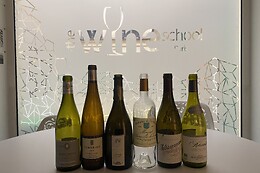 The Wine School