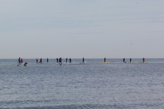 Surfers Paradise - photo 4
