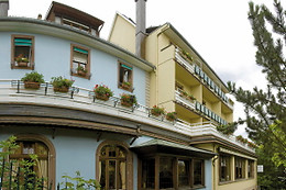 Hôtel du Parc*** Welness & Spa - Restaurant L'Alexain