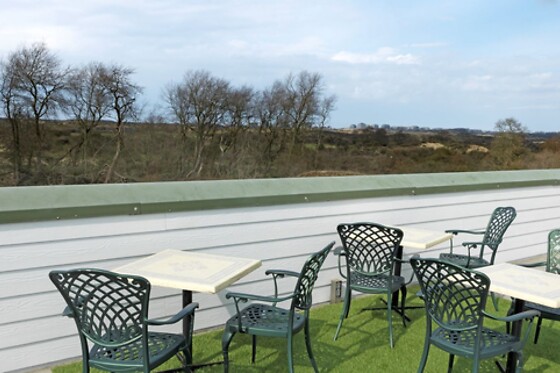 Ara Dune Hotel - photo 3