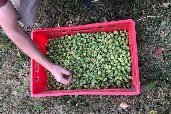 Brasserie des Trévires - photo 2