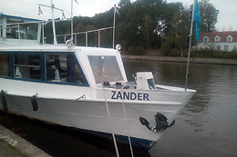 Zander