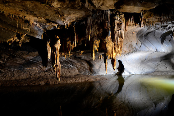Le Domaine des Grottes de Han - photo 0