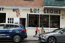 Les Lions