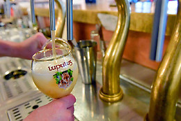Brasserie Lupulus