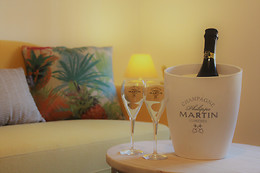 Champagne Philippe Martin