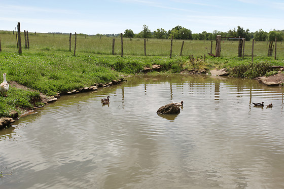 Ferme de La Borde - photo 14