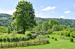 Domaine de la Jordanne