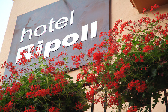 HOTEL RIPOLL RESTAURANT - photo 2