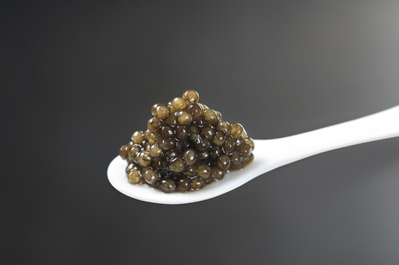 Caviar de Neuvic - photo 1
