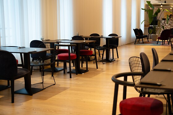 Corsendonk Turnova - photo 3