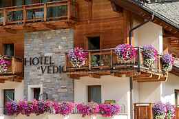 Hotel Vedig