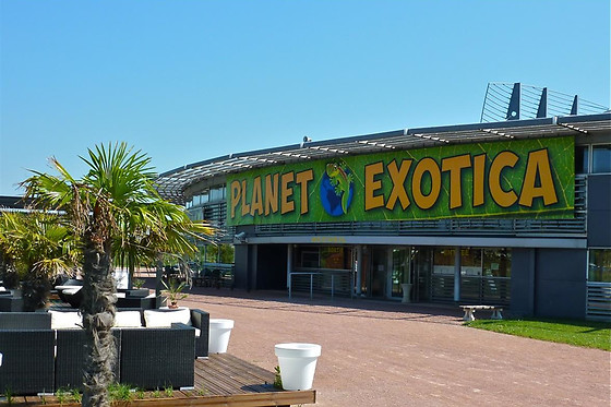 Planet Exotica - photo 0