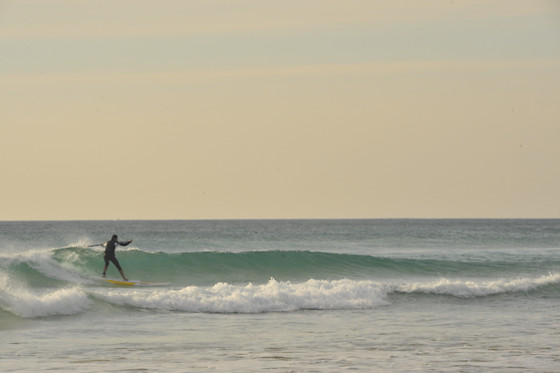 SURFER TARIFA - photo 2