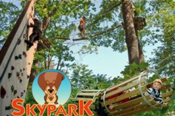 Skypark Parco Avventura - photo 5