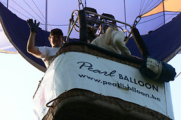 Pearl Balloon