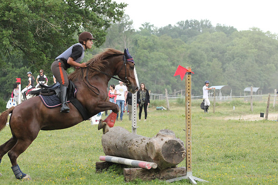 Farandole Equestre - photo 1