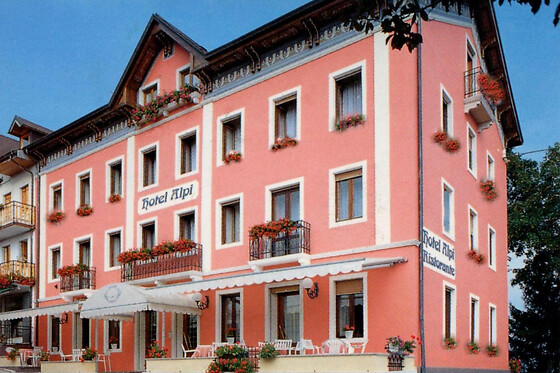 Hotel Ristorante Alpi - photo 0