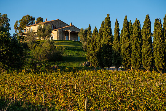 Capua Winery - photo 1
