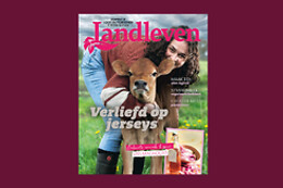 Roularta Magazines