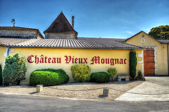 Chateau Vieux Mougnac - photo 7