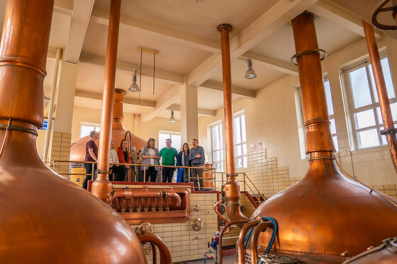 Brouwerij Roman - photo 0