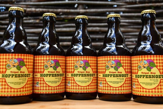 Huisbrouwerij Den Tseut - photo 3