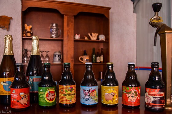 Huisbrouwerij Den Tseut - photo 5