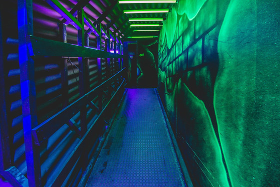 LASER3000 - Laser Shooting Games - photo 4