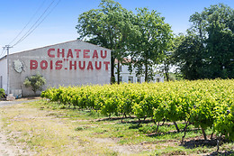 Chateau du Bois Huaut